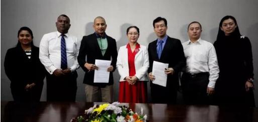 �ٳ̼��Ż�����Ӧ���ҡ�һ��һ·�����鲼�ֺ���Ͷ��