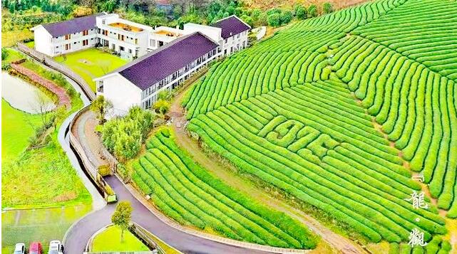 ��֪����, ����ʫ����ǿ���Ļ�ʫ��100��