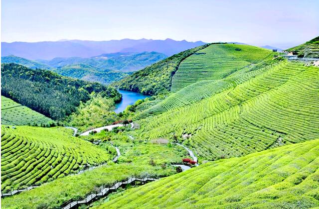 ��֪����, ����ʫ����ǿ���Ļ�ʫ��100��